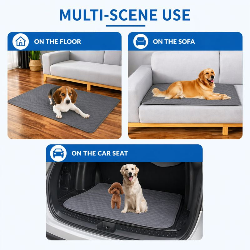 CleanPaws Pee Mat