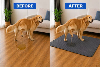 CleanPaws Pee Mat