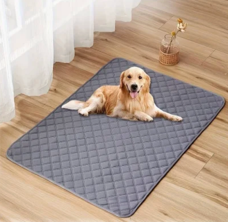 CleanPaws Pee Mat